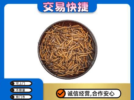 河北区回收散虫草